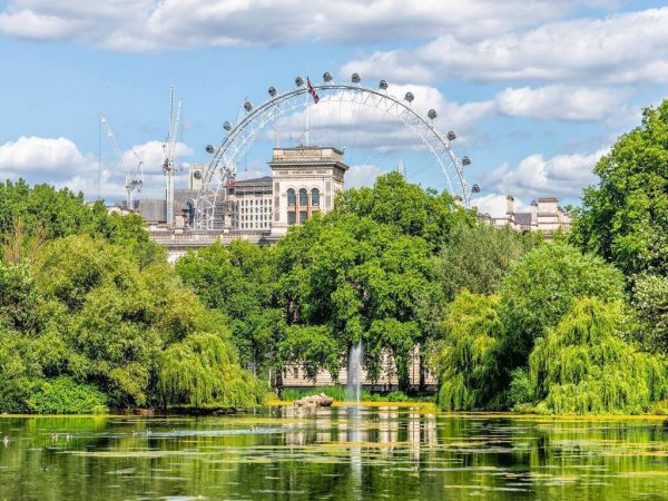 St James Park 