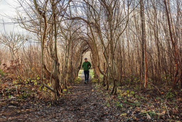 Blean Woodland Walk