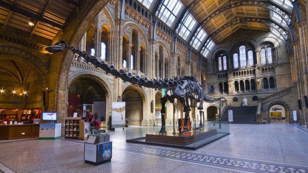 Natural History Museum