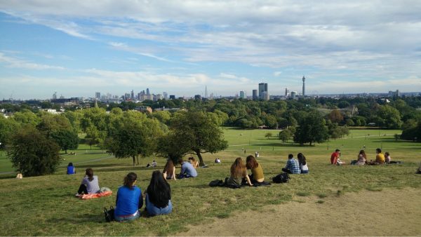 Primrose Hill 