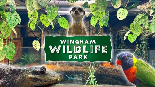 Wingham Wildlife Park