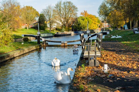 Boathouse Walk along the River Cam