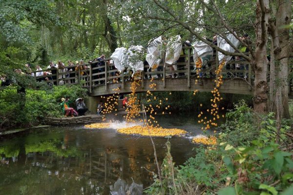 Canterbury Duck Race