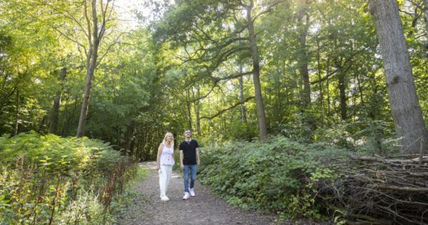 Canterbury to Fordwich walk