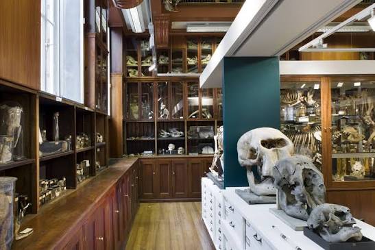 Museum of Zoology