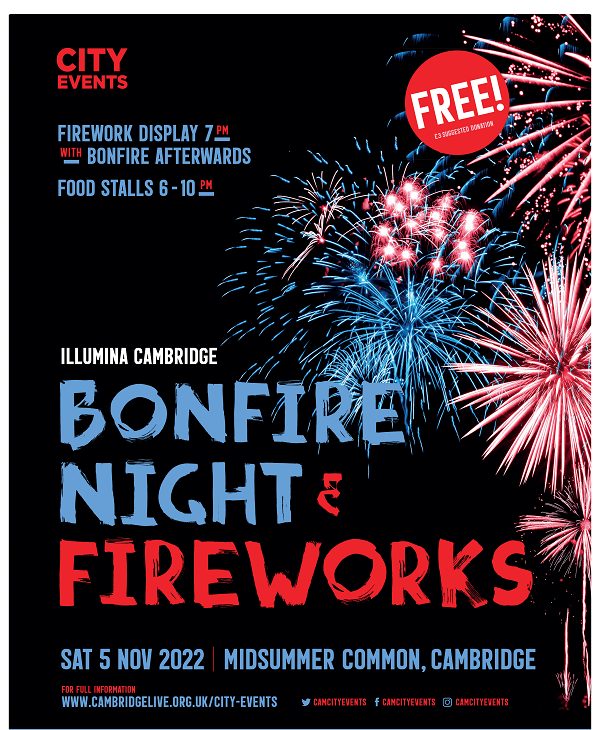 Bonfire Night Fireworks